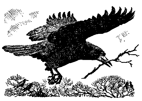 image 9k