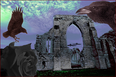 A Corvid's Dream
